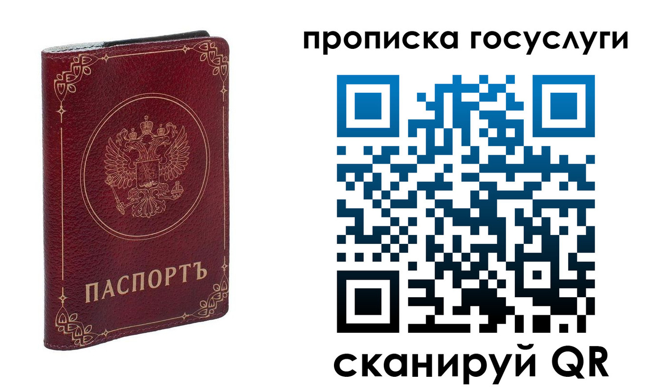 прописка в Александровске